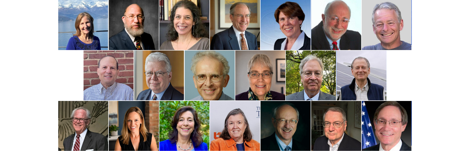 CPC Senior Fellows